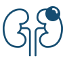Kidney Cyst